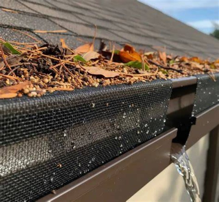 Do gutter shields really work?