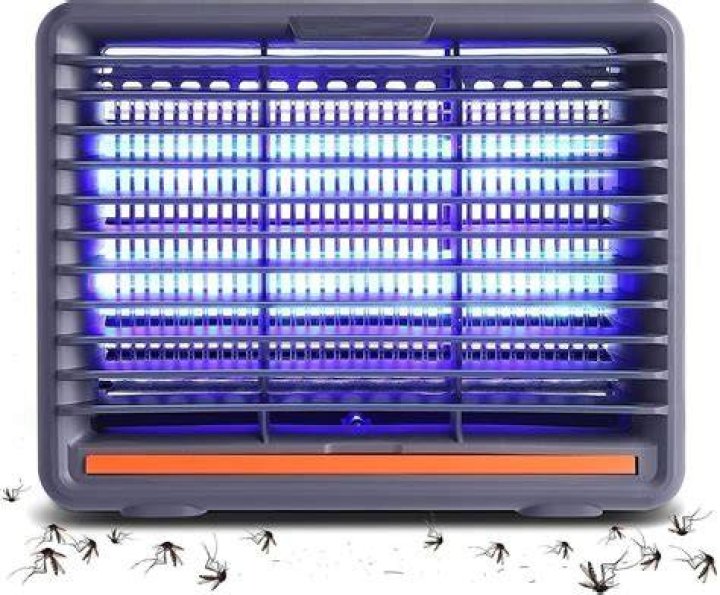 Do Insect Killer lights work?