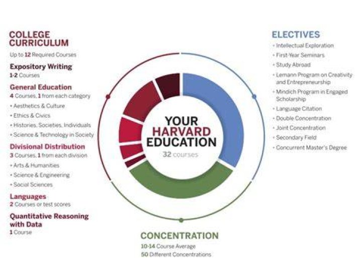 Does Harvard have an accounting program?