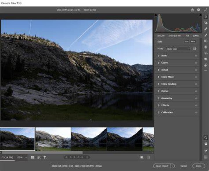 Is Camera Raw plugin free?