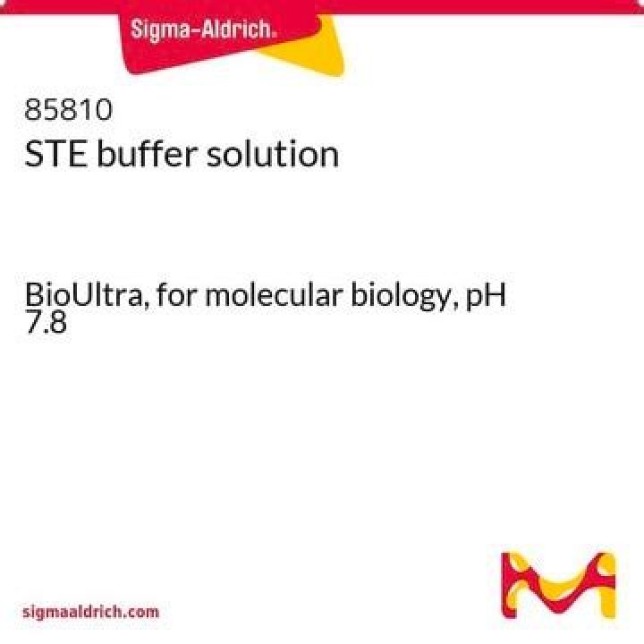 What does STE buffer do?